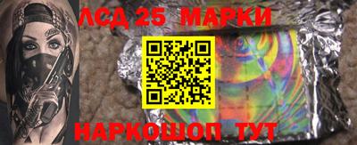 альфа пвп Новодвинск