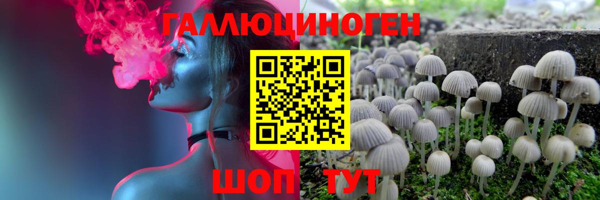Троицк  Псилоцибиновые грибы Magic Shrooms  Вход с VPN 